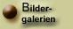 unbekannte Kakteen in meiner Sammlung